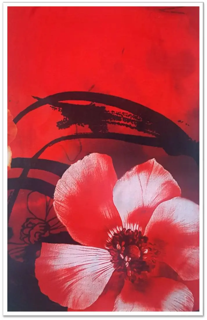 Red poppy printed scarf
